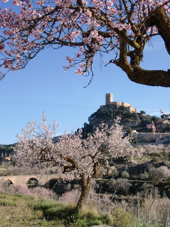Hotel Rural Mas Fontanelles Biar Εξωτερικό φωτογραφία