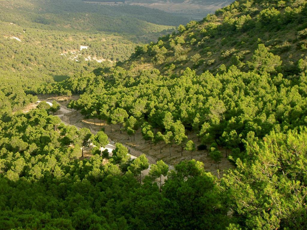 Hotel Rural Mas Fontanelles Biar Εξωτερικό φωτογραφία